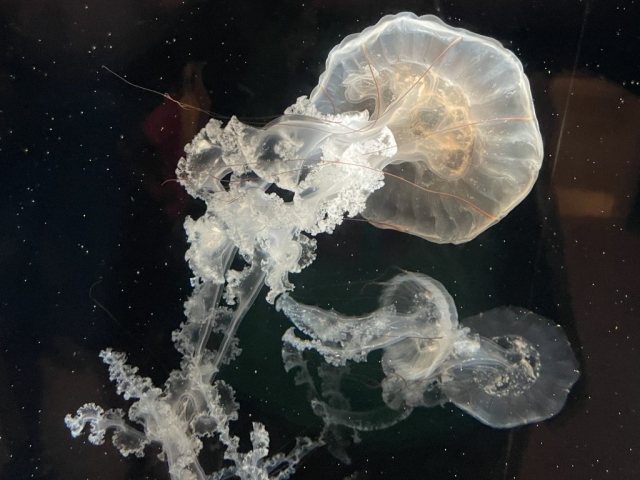 65288CDA-C94A-4611-A0FD-3095DB373ECD