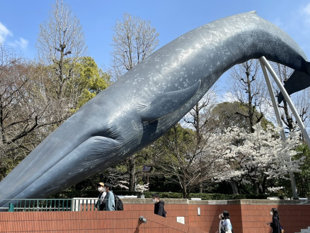6D0D400E-EF75-4D6D-8EC9-F32D4C6A7FF8
