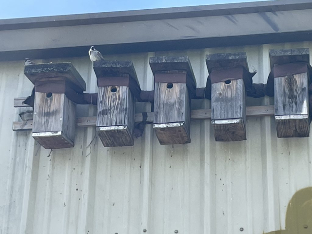 IMG_6143